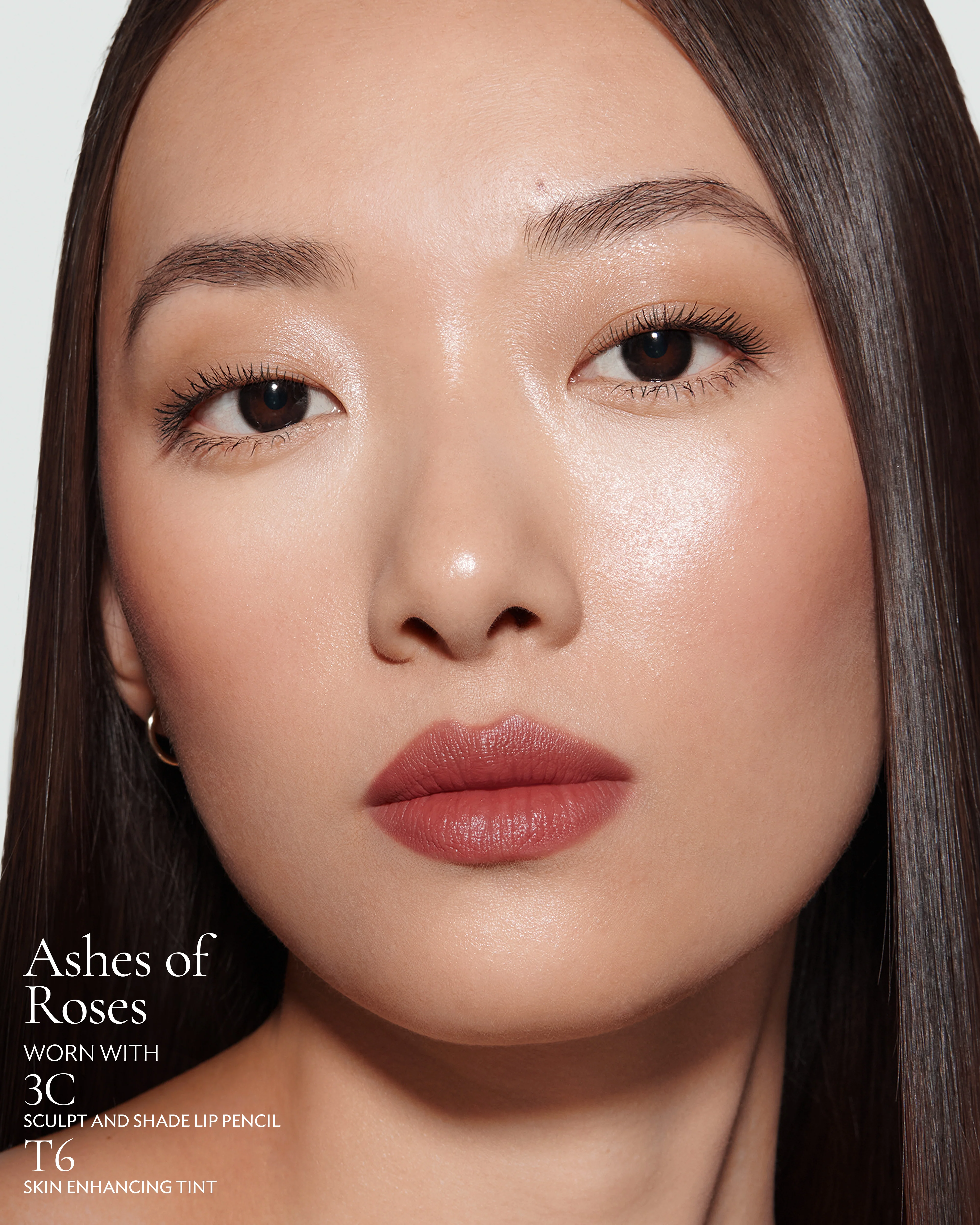 183 - The Ashes of Roses Refill (Rouge Experience Refill) - Image 6