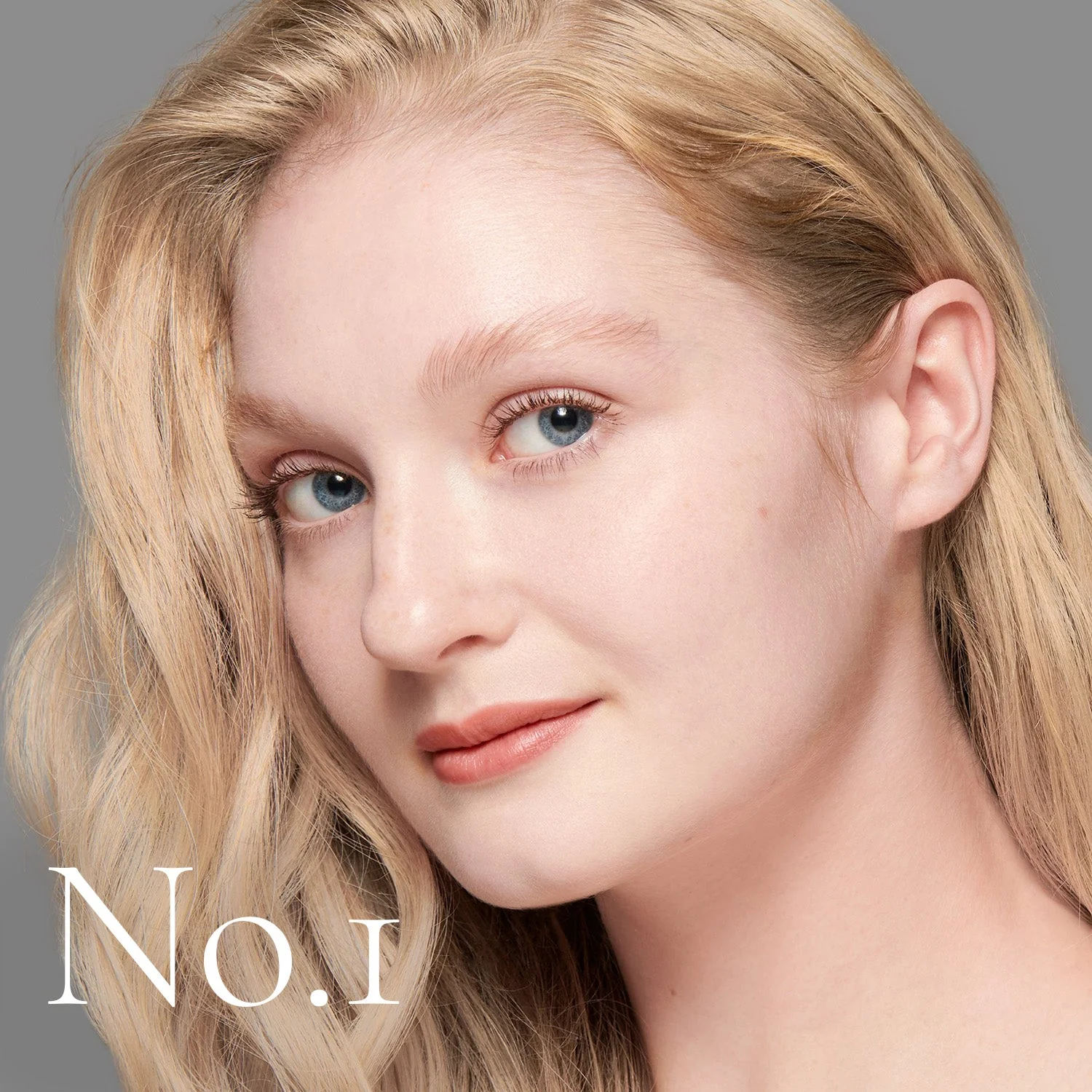 Shade No. 1 (The Foundation) - Image 7